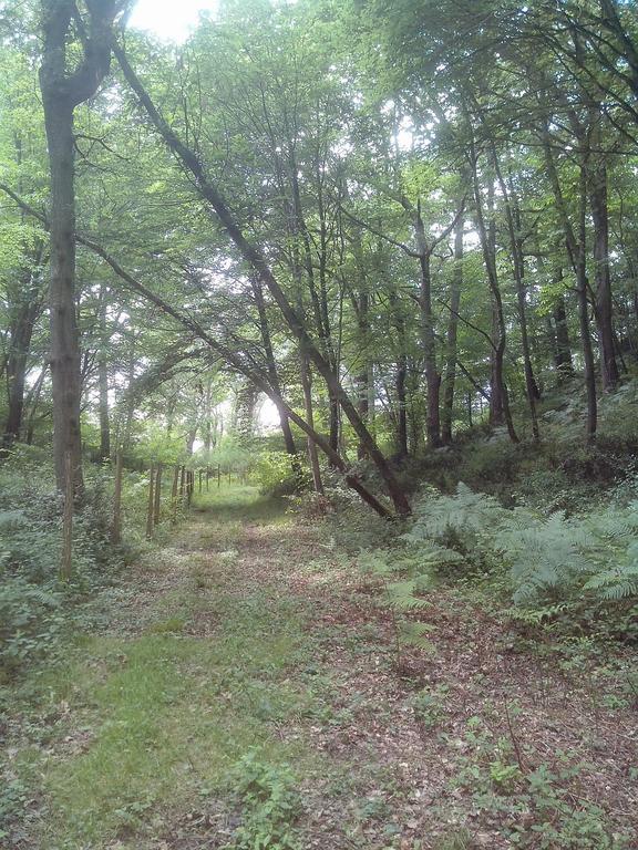 Les Gites De Castera Aire-sur-lʼAdour 외부 사진