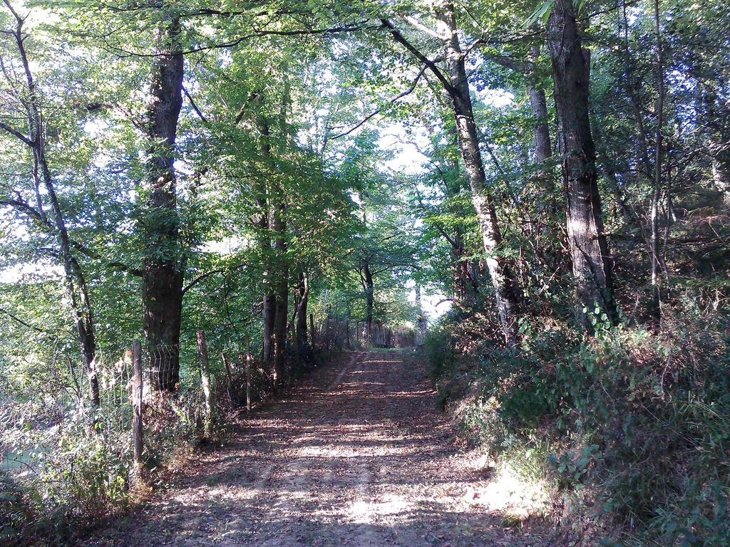 Les Gites De Castera Aire-sur-lʼAdour 외부 사진